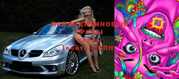 таблы Пересвет