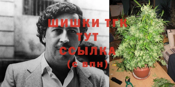 таблы Пересвет