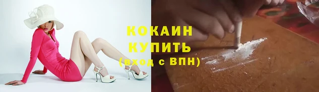 мдпв Осташков